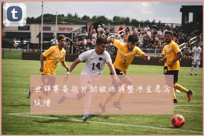 世锦赛备战计划被迫调整冲金悬念陡增