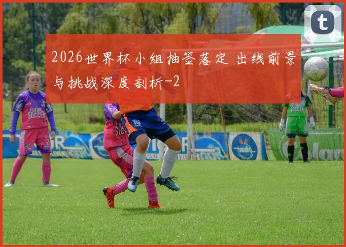 2026世界杯小组抽签落定 出线前景与挑战深度剖析