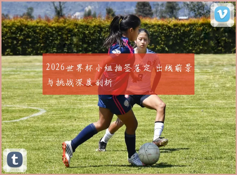 2026世界杯小组抽签落定 出线前景与挑战深度剖析